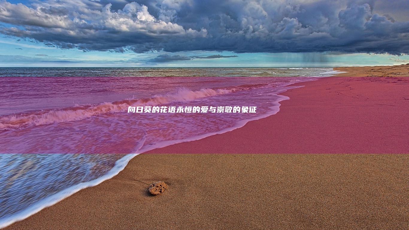 向日葵的花语：永恒的爱与崇敬的象征